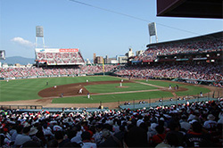 �}�c�_�X�^�W�A��