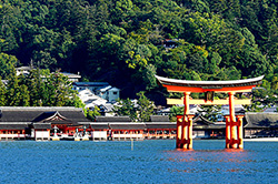 ���|�̋{��